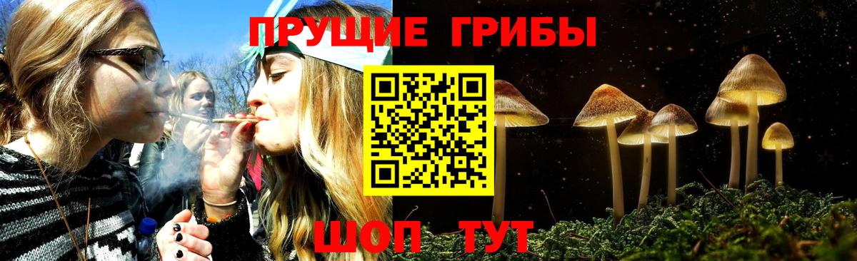 Галлюциногенные грибы MAGIC MUSHROOMS  Вход с VPN  Пугачёв 